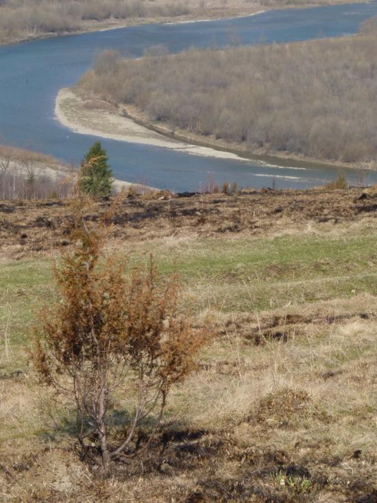 Перепростиня з panoramio.com - Перепростыня
