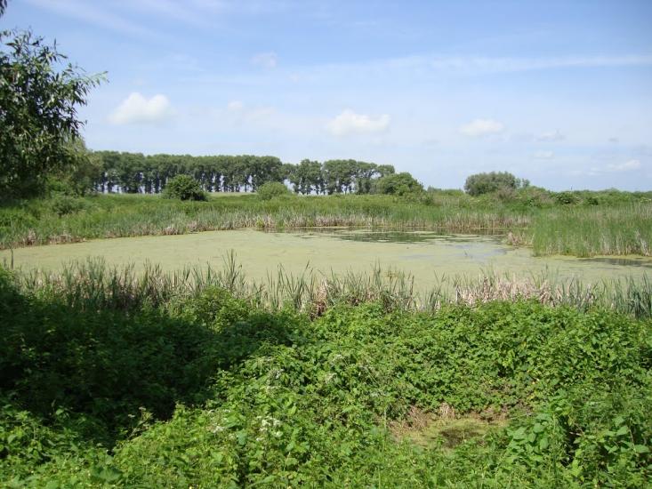 Русанів з panoramio.com - Русанов