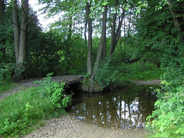 Нова Ушиця з panoramio.com - Новая Ушица