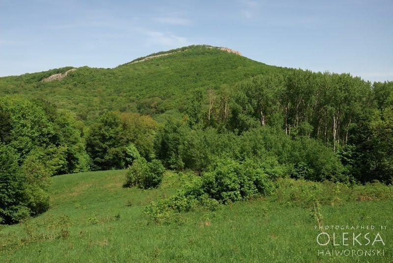 Багата Ущелина з panoramio.com - Bagata Uschelyna