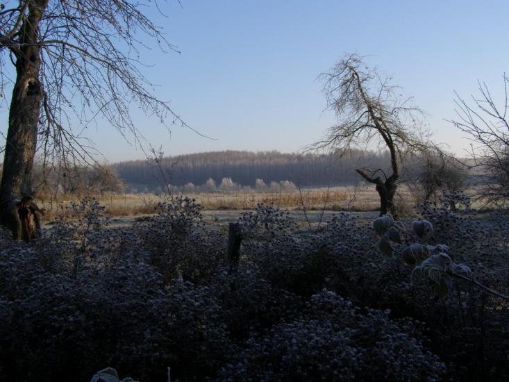 Томашівка з panoramio.com - Томашівка