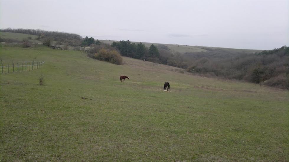 Лазарівка з panoramio.com - Лазарівка