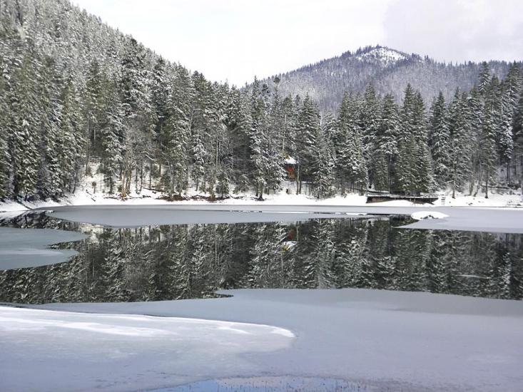 Вільшани з panoramio.com - Ольшаны