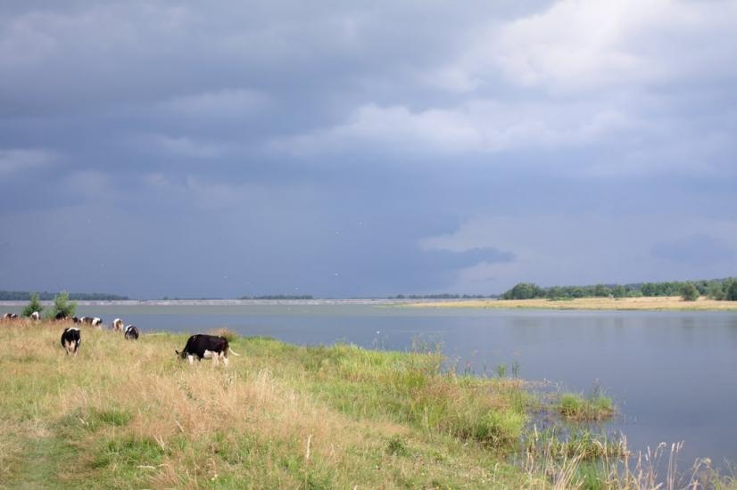 Дернаки з panoramio.com - Дернаки