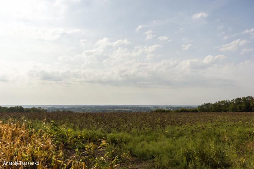 Федорівка з panoramio.com - Fedorivka