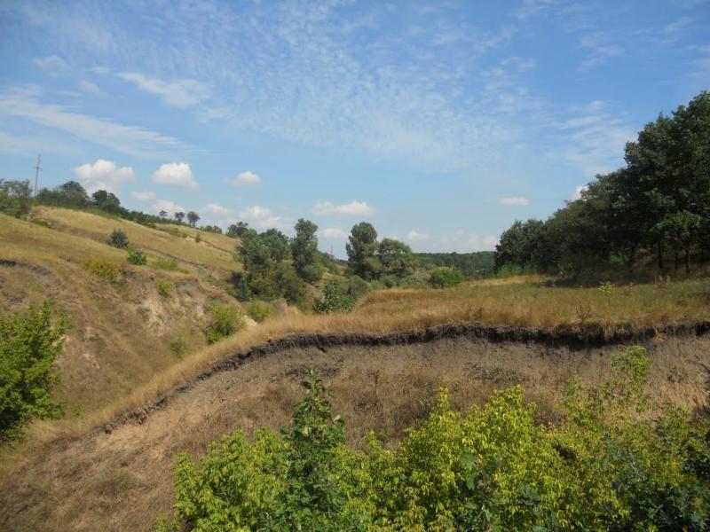 Ракшівка з panoramio.com - Ракшивка