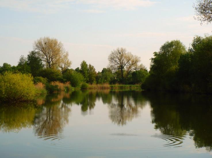 Іванківці з panoramio.com - Іванківці