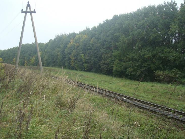 Буйволівці з panoramio.com - Буйволівці