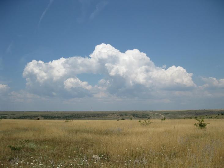 Рєпіне з panoramio.com - Рєпіне