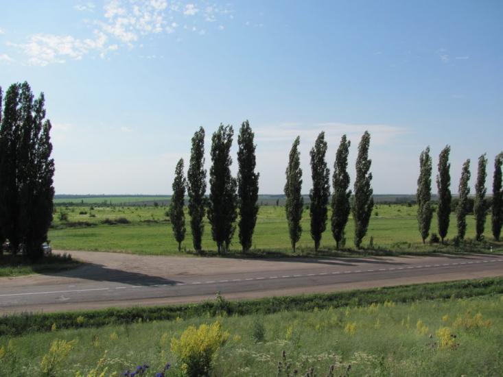 Михайло-Ларине з panoramio.com - Михайло-Ларино