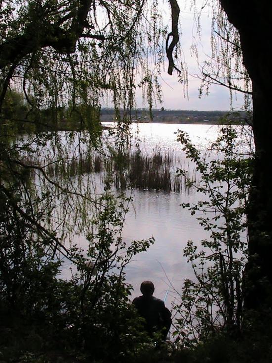 Вільхівка з panoramio.com - Вільхівка