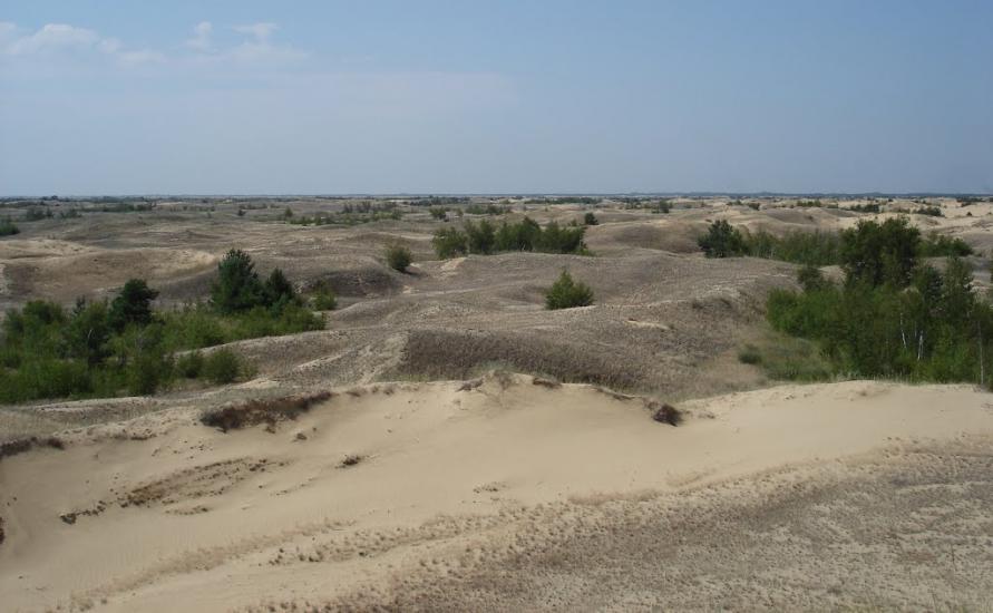 Пролетарка з panoramio.com - Пролетарка