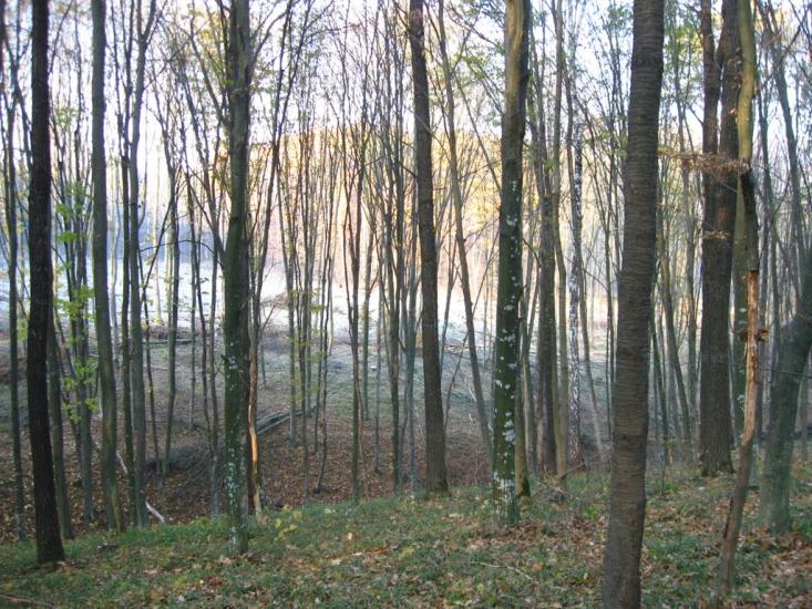 Кисляк з panoramio.com - Kyslyak