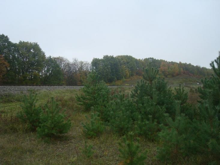Малиничі з panoramio.com - Малиничи