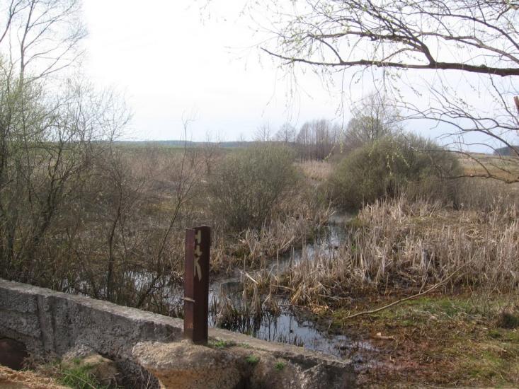 Халявин з panoramio.com - Халявин