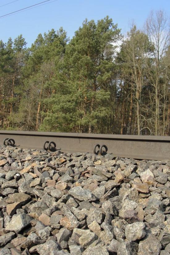 Жабка з panoramio.com - Жабка