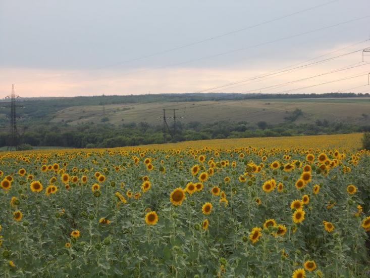 Березівське з panoramio.com - Березівське