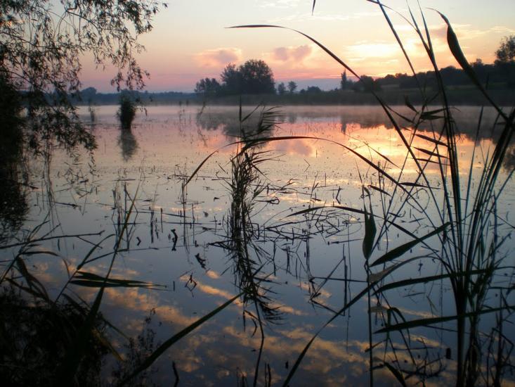 Базилівщина з panoramio.com - Базилевщина