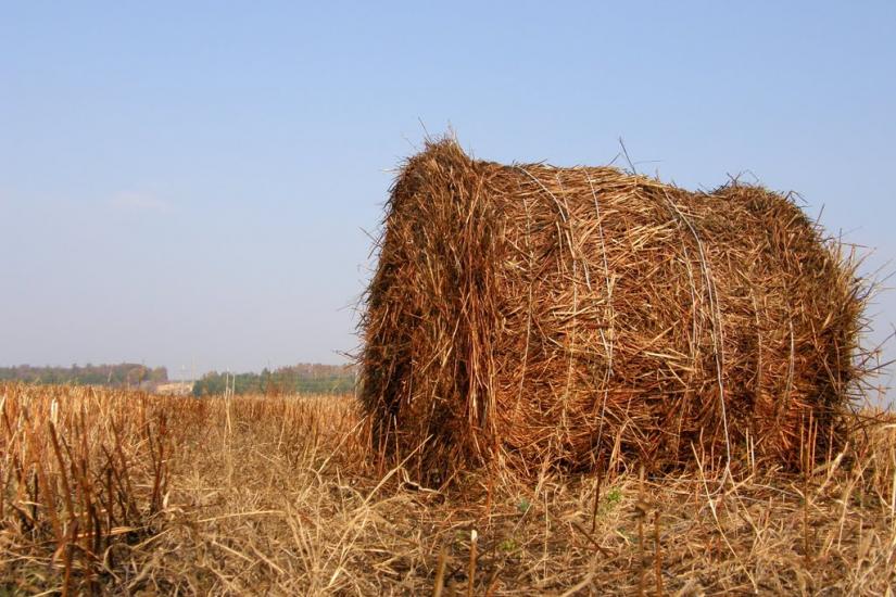 Сидорове з panoramio.com - Сидорове