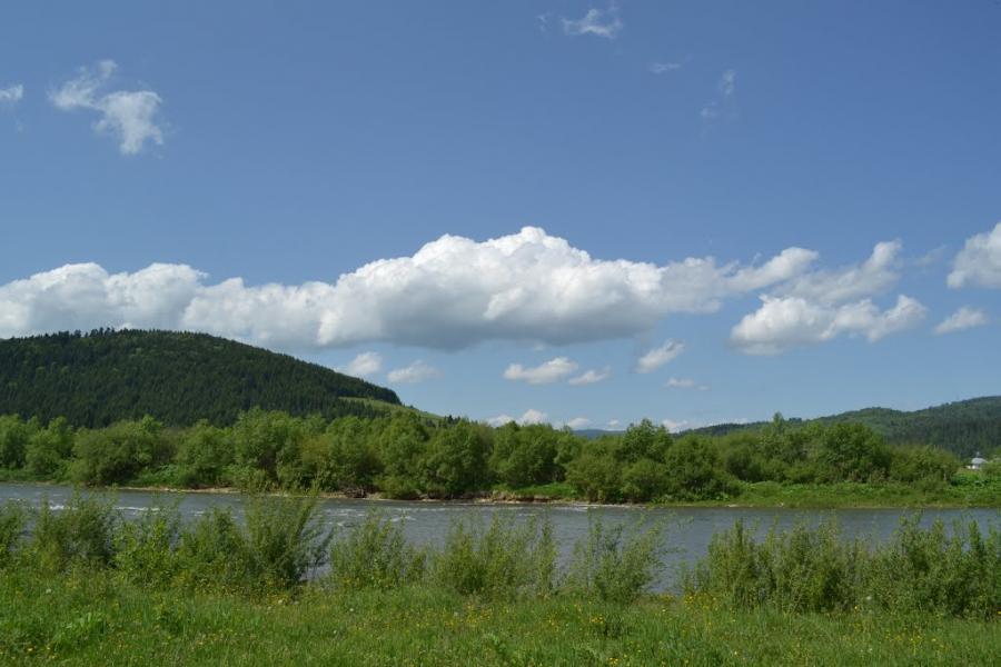 Рибник з panoramio.com - Rybnyk
