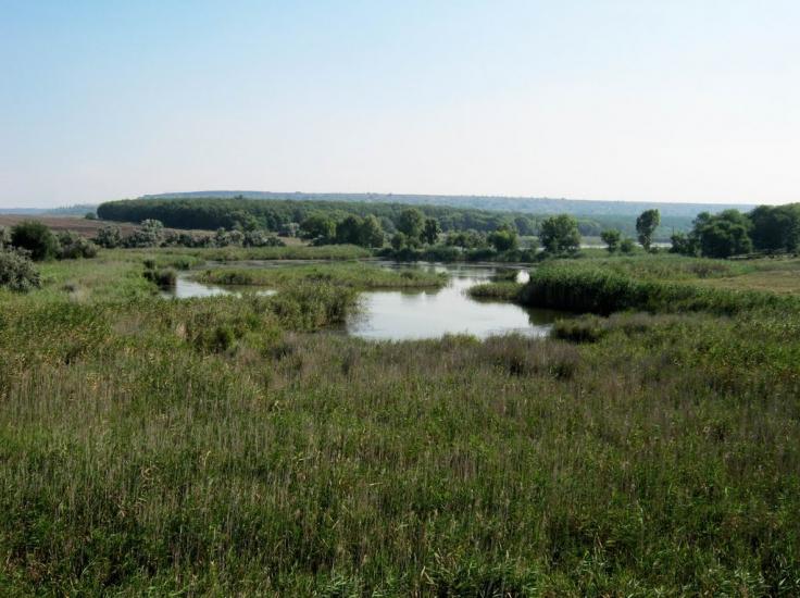 Новоіванівка з panoramio.com - Новоивановка