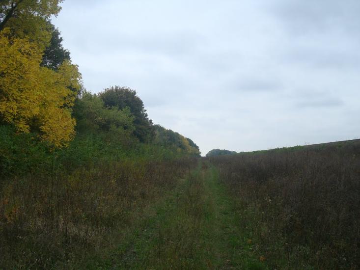 Григорівка з panoramio.com - Grygorivka