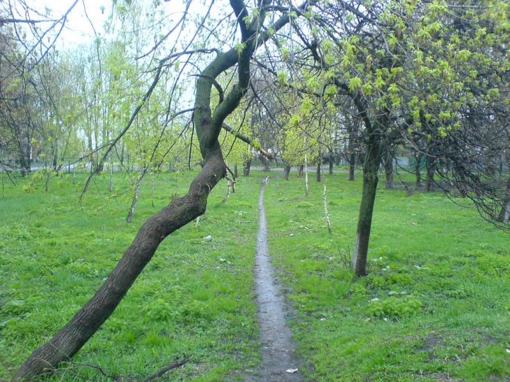 Світильня з panoramio.com - Світильня