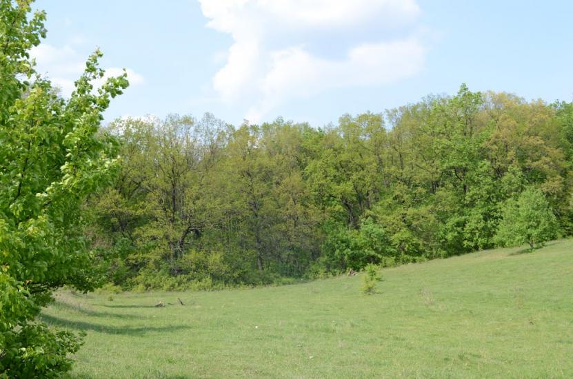 Замірці з panoramio.com - Замірці