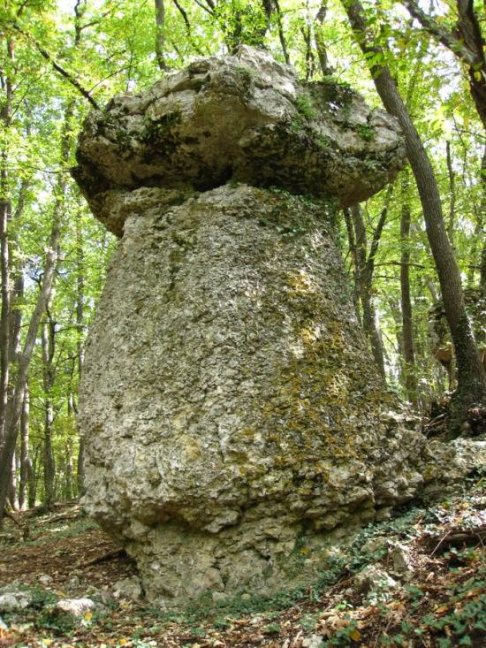 Дружне з panoramio.com - Дружне