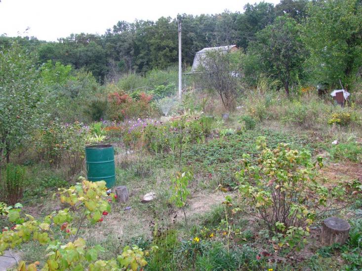 Циркуни з panoramio.com - Циркуни