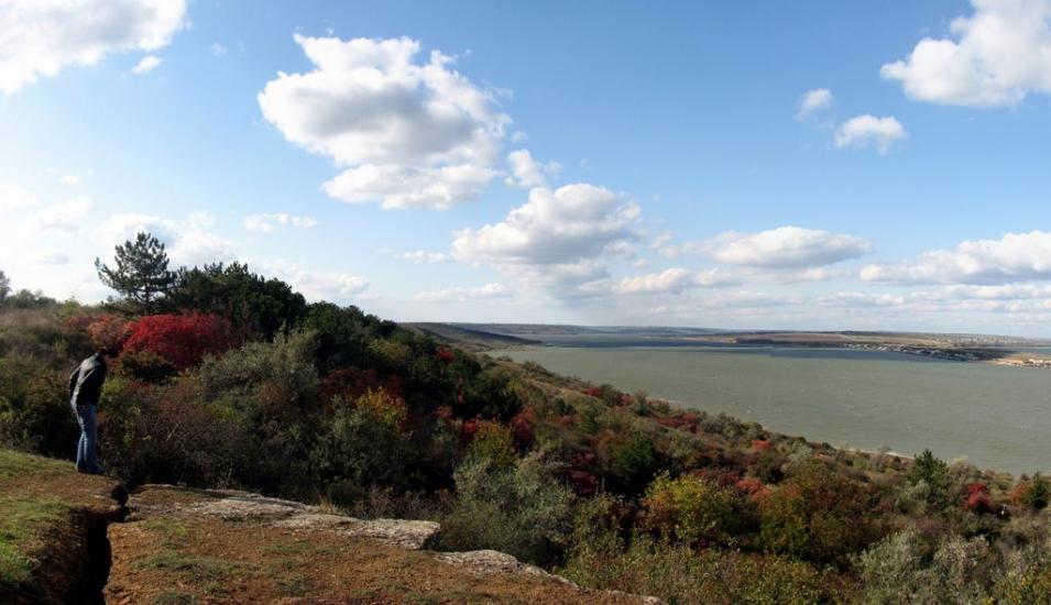 Алтестове з panoramio.com - Алтестово