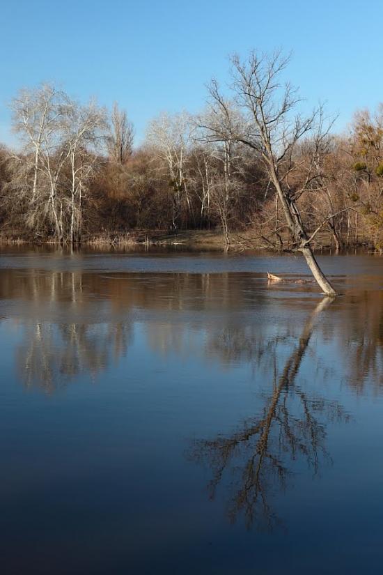 Черемушне з panoramio.com - Черемушное