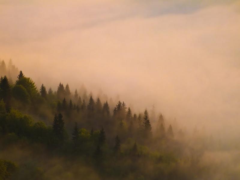 Потік з panoramio.com - Потік