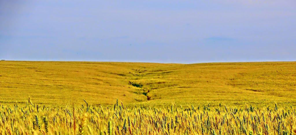 Піщаний Брід з panoramio.com - Pischanyy Brid