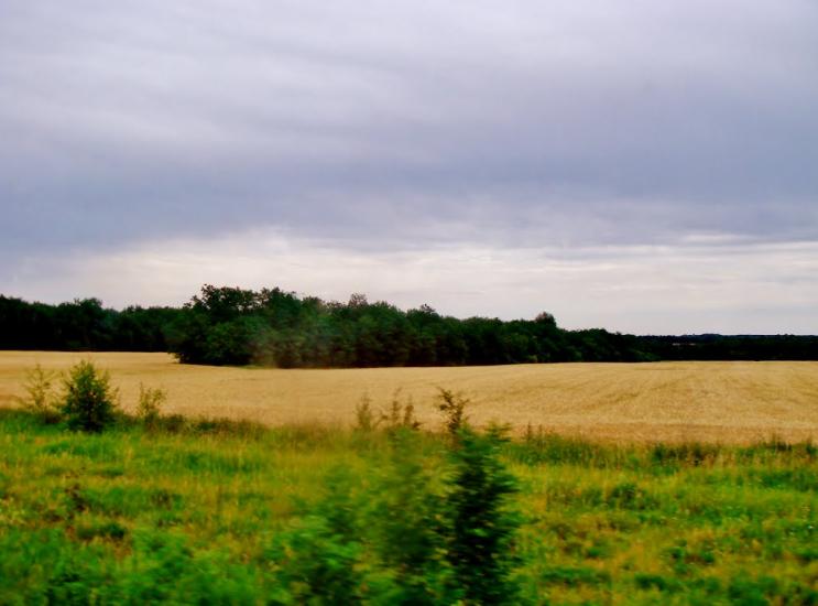Звенигородка з panoramio.com - Звенигородка