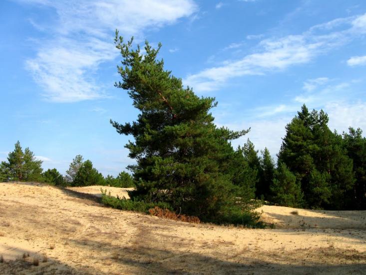 Раденськ з panoramio.com - Radensk
