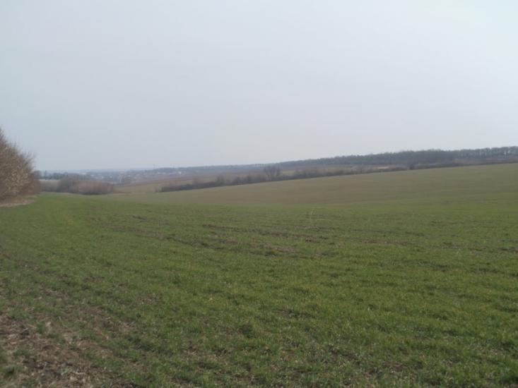 Карбівське з panoramio.com - Karbivske