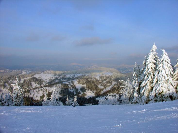 Плав'я з panoramio.com - Plavya