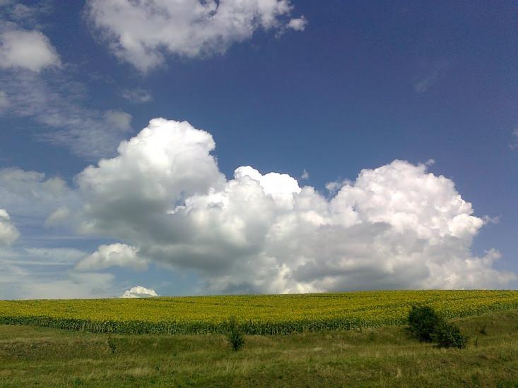 Люлинці з panoramio.com - Люлинцы