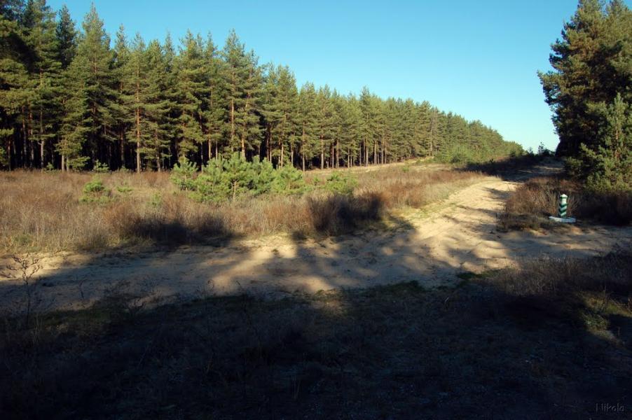 Воронове з panoramio.com - Воронове