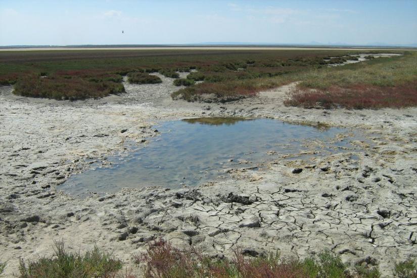 Соляне з panoramio.com - Соляное