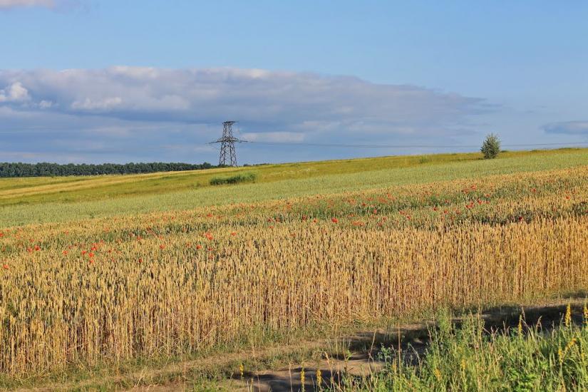 Бабинці з panoramio.com - Бабинцы