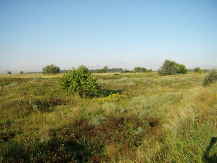 Хроли з panoramio.com - Фролы