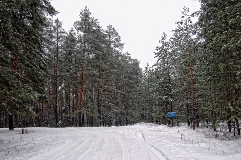 Богородичне з panoramio.com - Богородичное