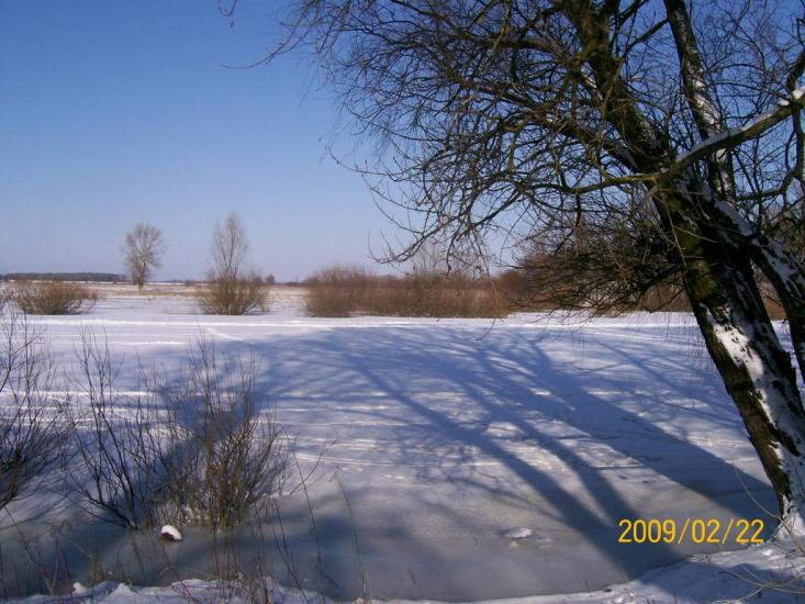 Вища Дубечня з panoramio.com - Вища Дубечня