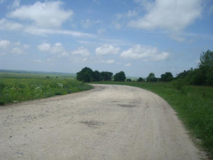 Черепова з panoramio.com - Черепова