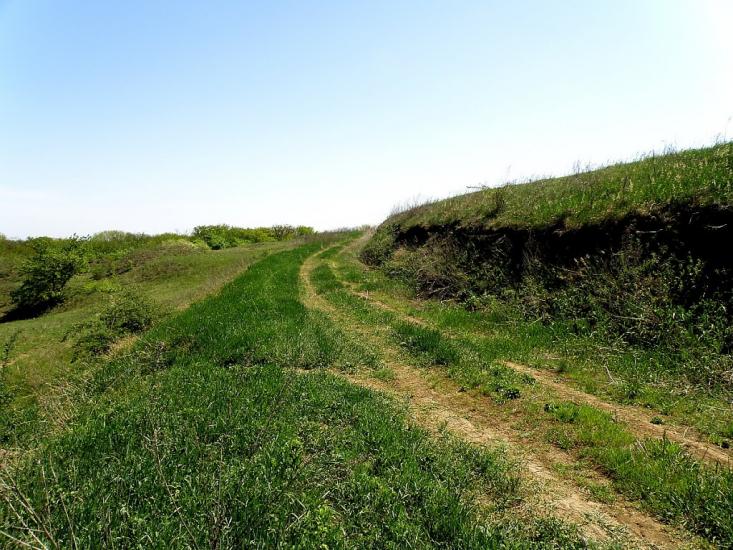 Садовий з panoramio.com - Садовый