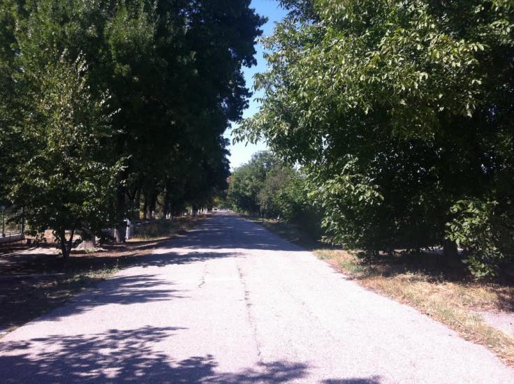 Дрофине з panoramio.com - Дрофино