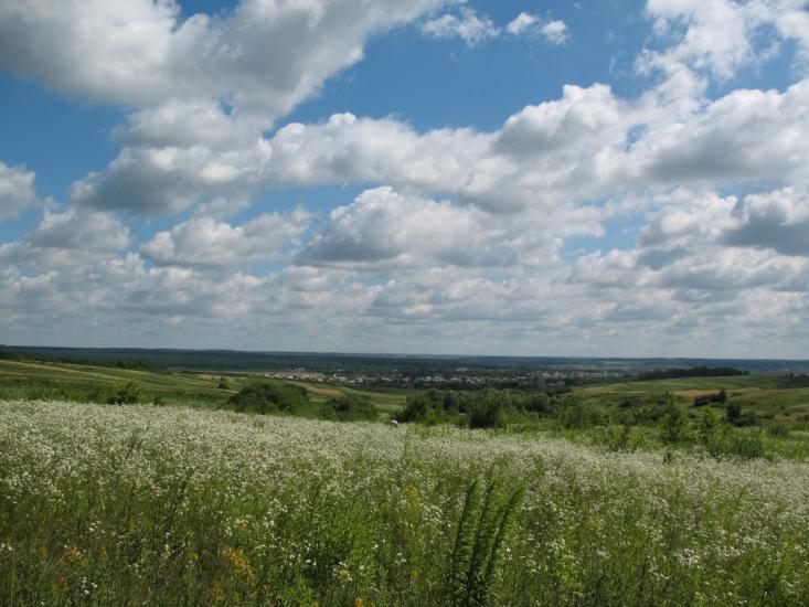 Дмитровичі з panoramio.com - Дмитровичі