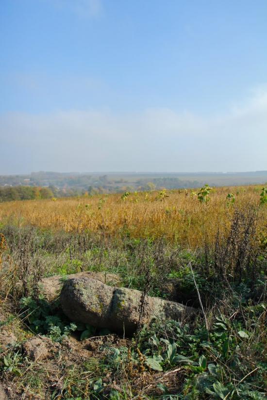 Карбівське з panoramio.com - Karbivske